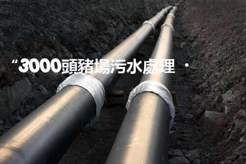 “3000頭豬場污水處理，綠色環(huán)保新篇章！”